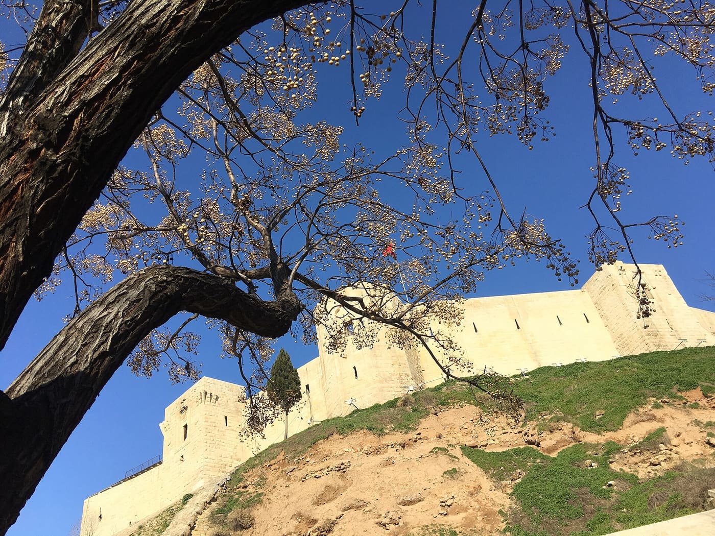 Gaziantep vize danışmanlık
